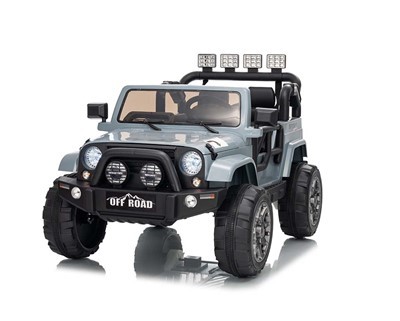 Jucării călăreau pe mașină